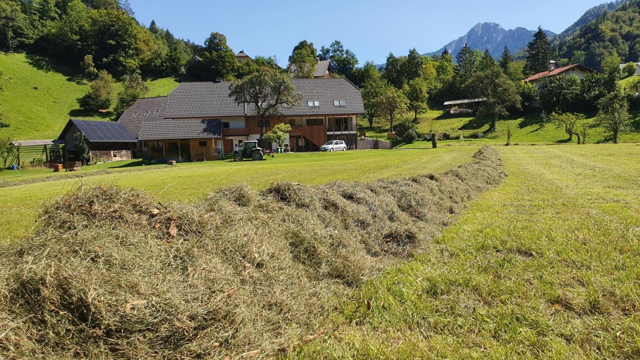 Apartments Tourist Farm Storman With Ev Ch-Station Tržič 외부 사진