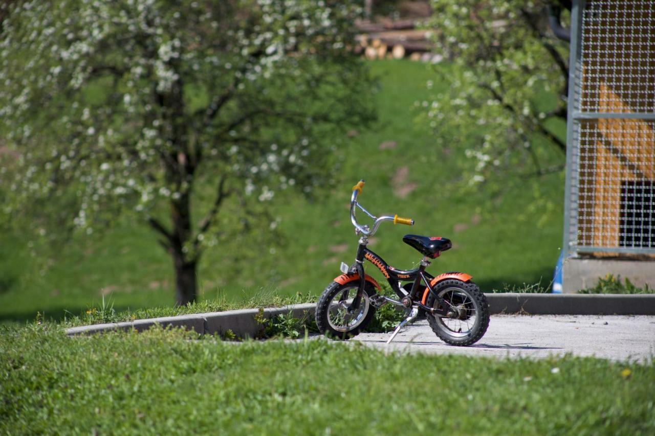 Apartments Tourist Farm Storman With Ev Ch-Station Tržič 외부 사진